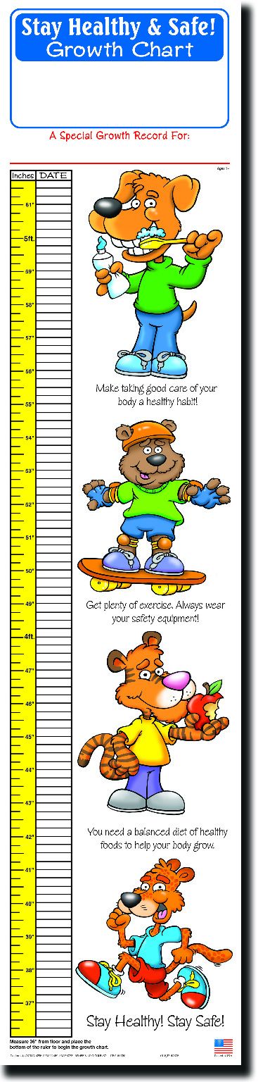 Stay Healthy And Safe Growth Charts - Ages 2-12, 5' Tall
