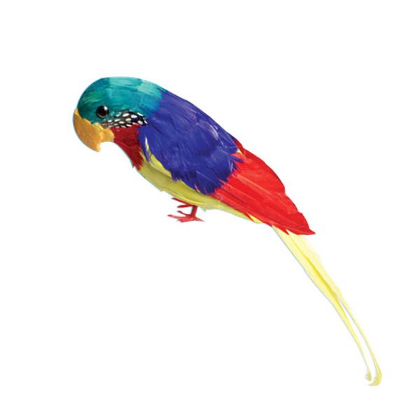 Feather Parrots