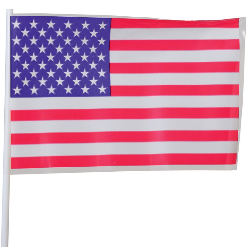 Usa Flags - 4 X 6 Plastic