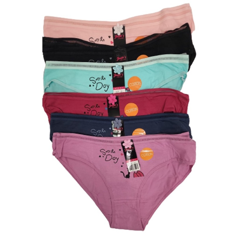 Women's Classic Panties - Assorted Colors, 72 Pairs
