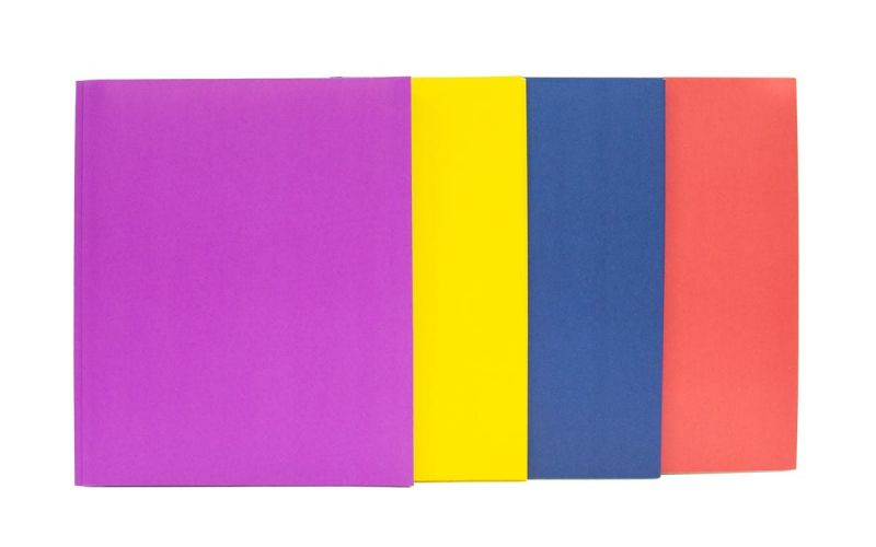 2 Pocket Folders With 3 Prongs - Assorted Colors, 4 Pack