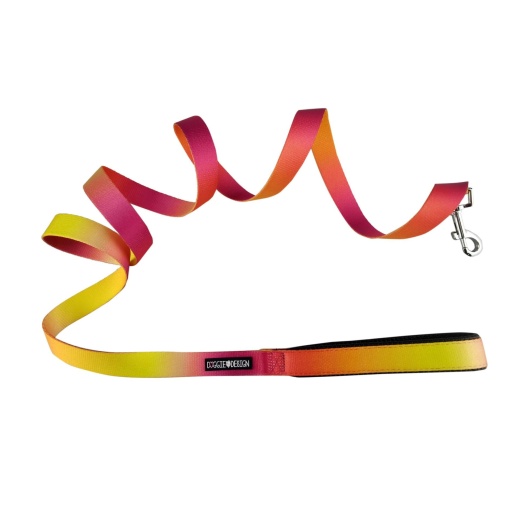 American River Ombre Leash - Raspberry Pink And Orange 1 Inch Wide X 6 Feet Long