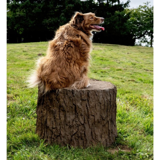 Naturedog Big Stump Jump