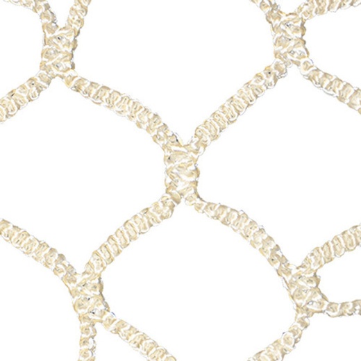 Championship Lacrosse Net