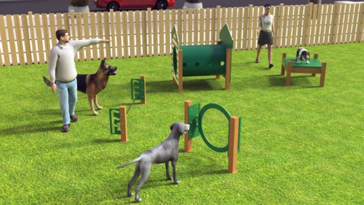 Recycled Novice Dog Course - 4 Piece