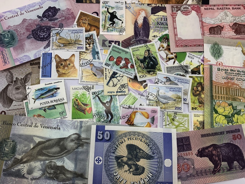 Wildlife: 50 Piece Collection Of World Stamps & Banknotes (Clear Box)