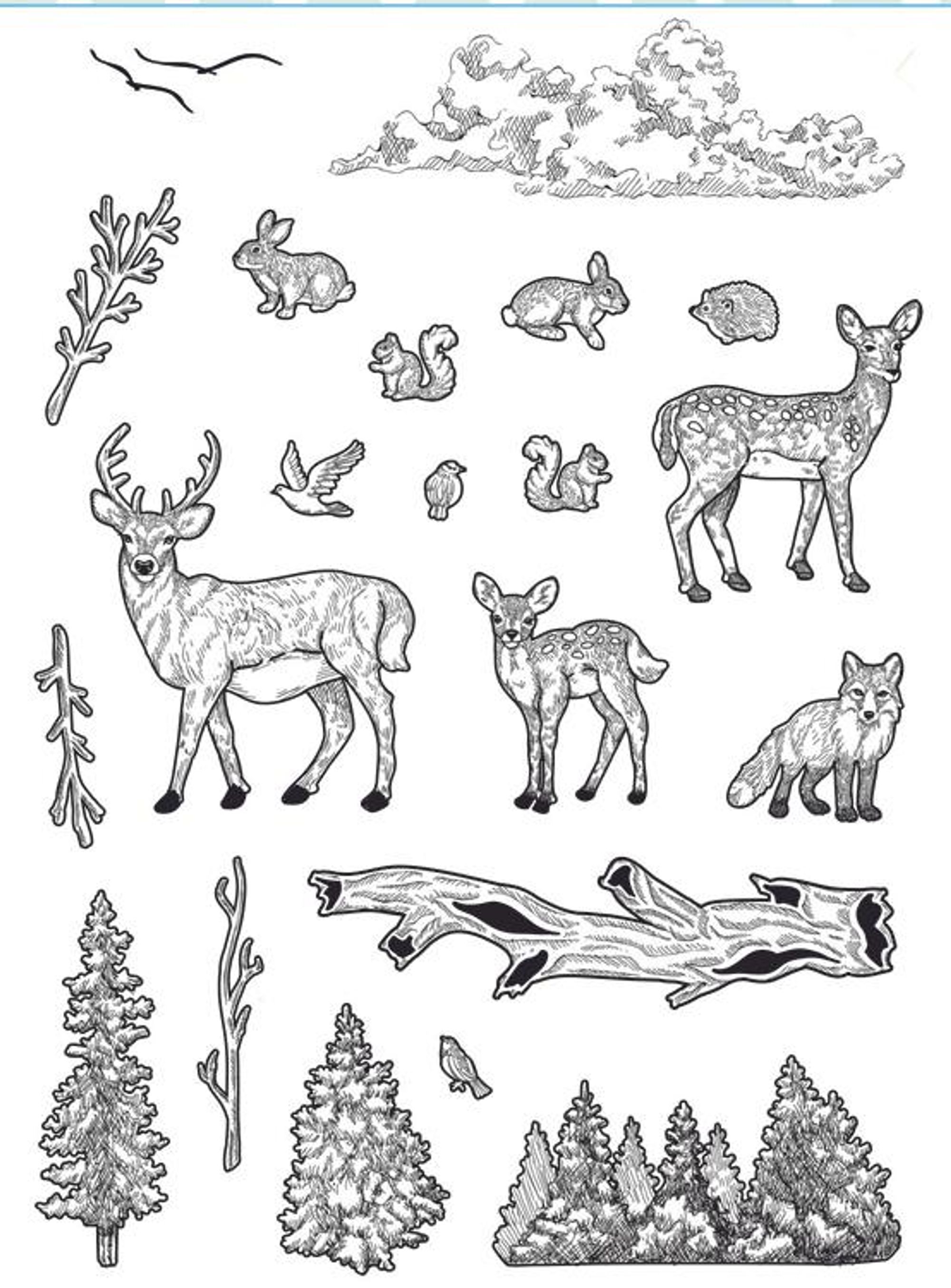 creative-expressions-forest-life-clear-stamp-set