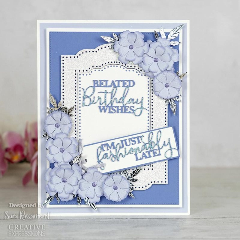 Creative Expressions Sue Wilson Mini Expressions Duos Belated Birthday Craft Die