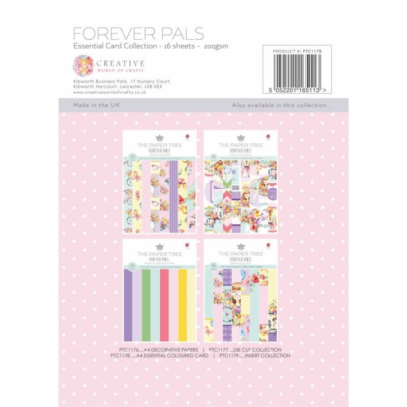 The Paper Tree Forever Pals A4 Essential Colour Card