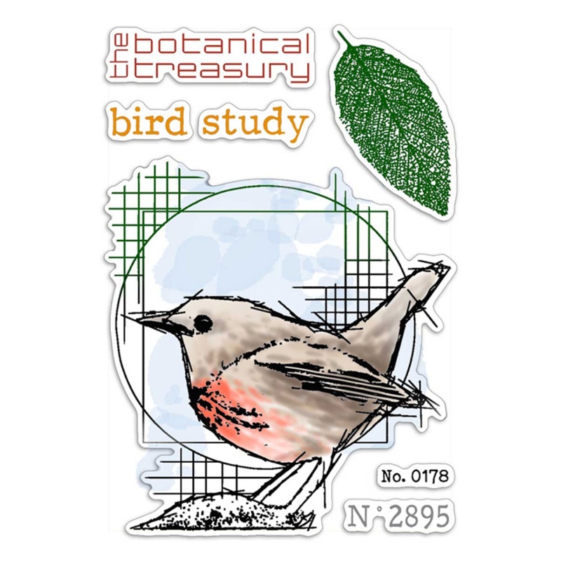 Ciao Bella Clear Stamp Set 4"X6" Bird Study