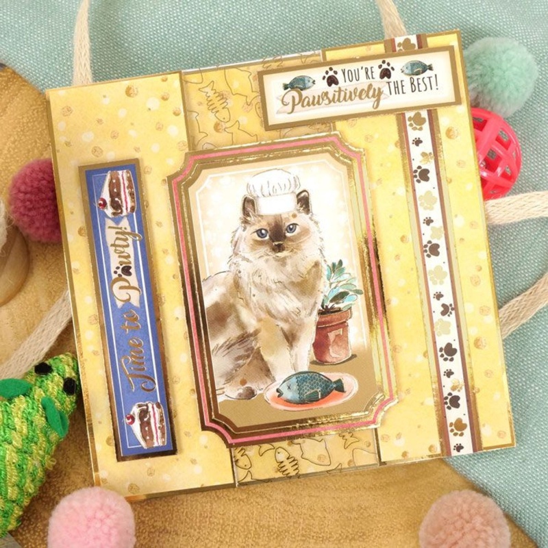 Positively The Best Luxury Topper Set