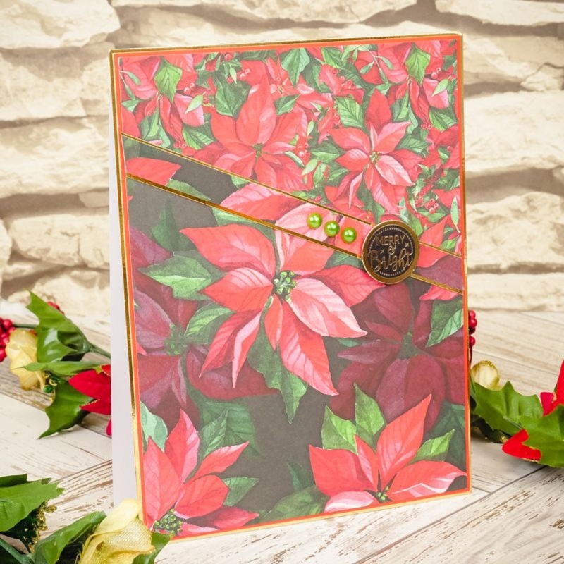 Adorable Scorable Pattern Packs - Poinsettia Garden