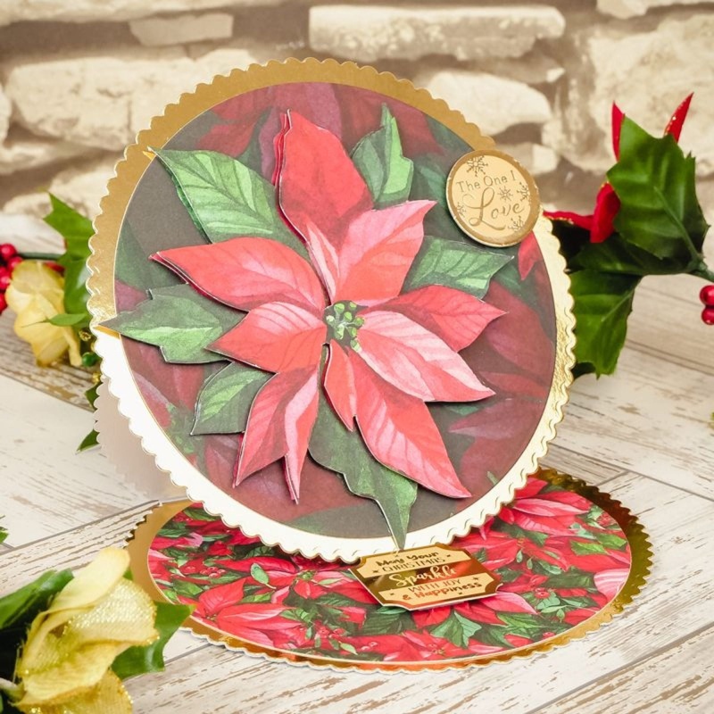 Adorable Scorable Pattern Packs - Poinsettia Garden