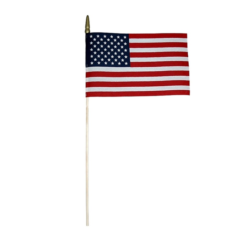 American Flag 8 X 12