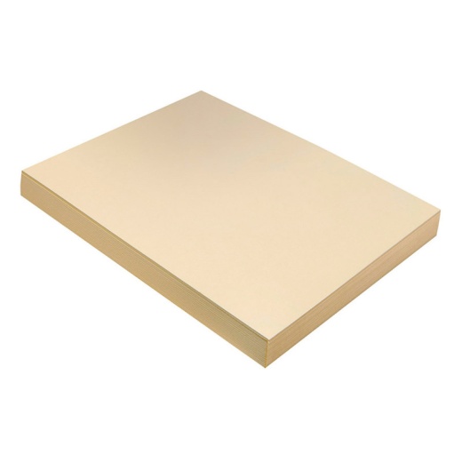 Heavyweight Manila Tagboard 9X12 100Shts