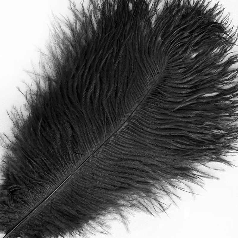 12 Pack Black Natural Plume Ostrich Feathers Centerpiece Filler 24