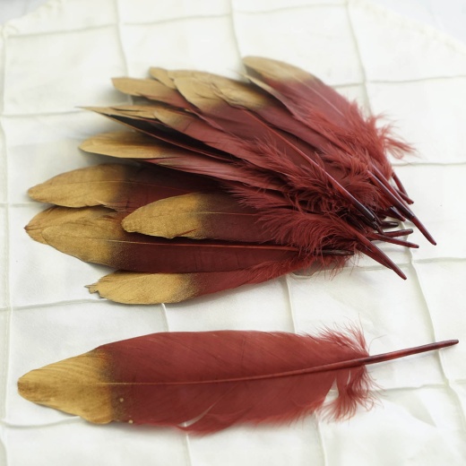 30 Pack Metallic Gold Natural Goose Feathers, Craft Feathers for Party  Decoration
