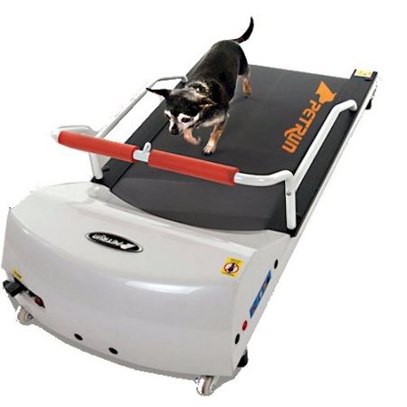 Petrun Dog Treadmill