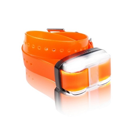 Dogtra Edge 1 Mile Extra Collar Orange