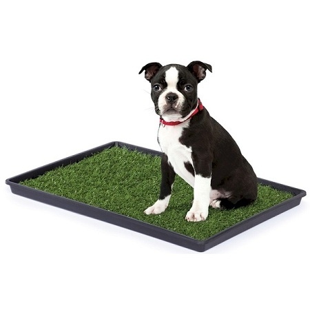 Tinkle Turf - Large: The Ultimate Indoor Potty Solution for Your Pet