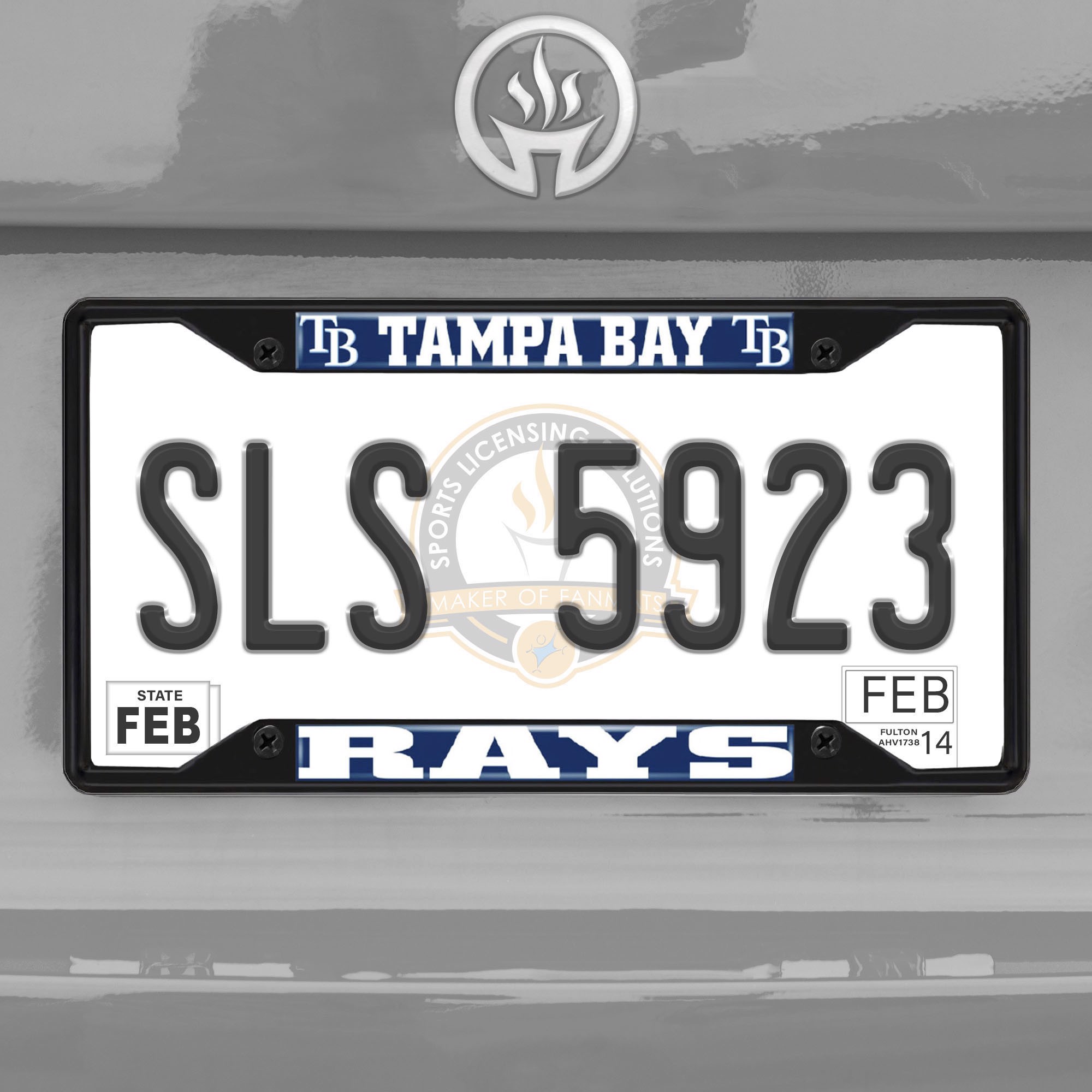 Tampa Bay Rays Black Color Hitch Cover