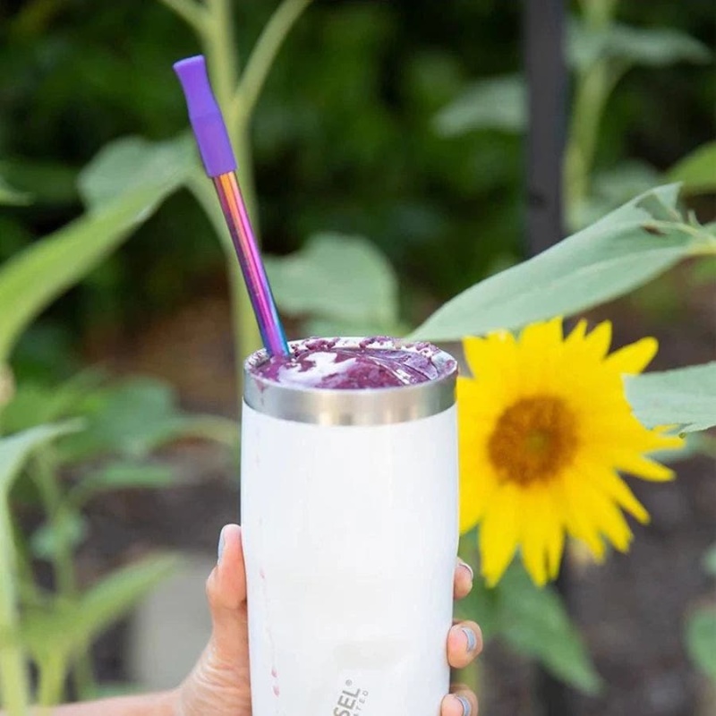 Ecovessel Rainbow Straw Set Pack Of 2