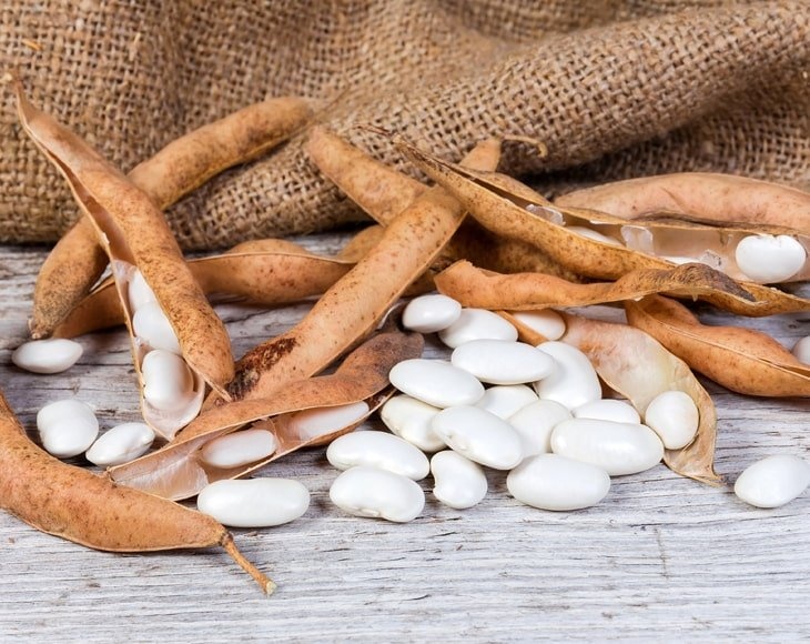 Organic Large White Kidney Beans