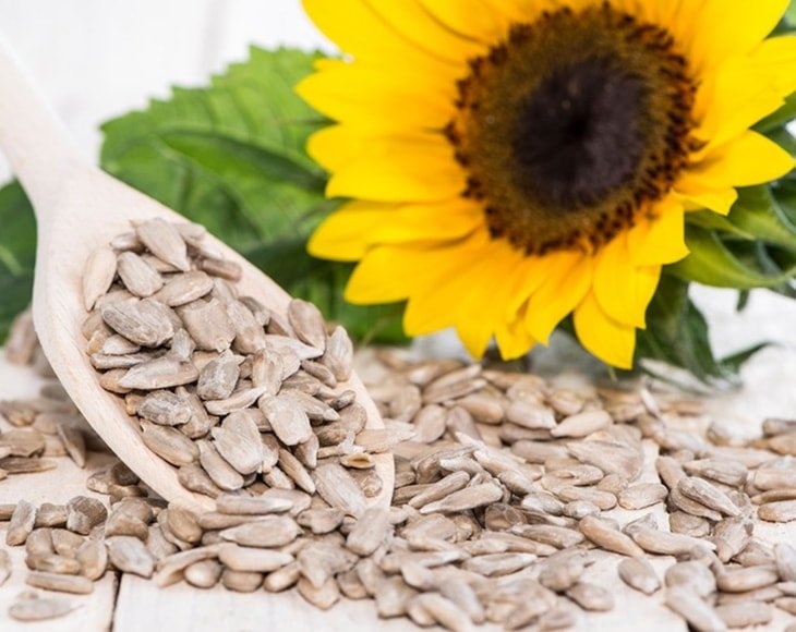 Organic Raw Sunflower Seeds