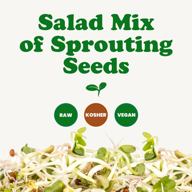Salad Mix Of Sprouting Seeds