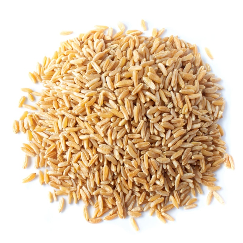 Organic Kamut® Khorasan Wheat