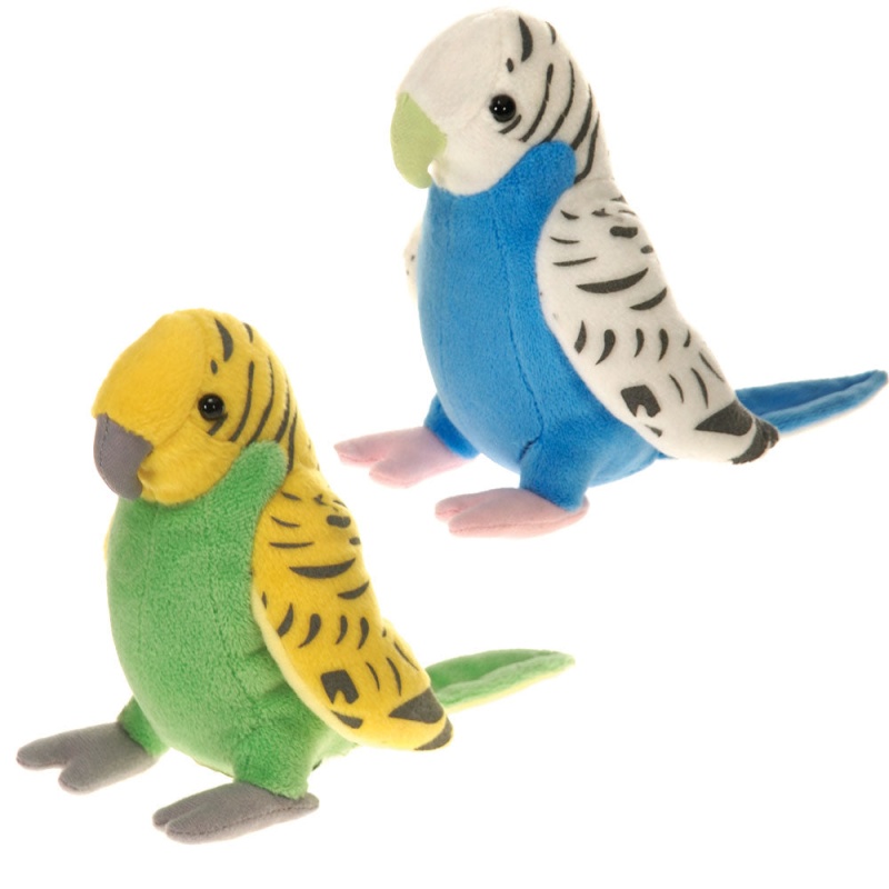 6" Parakeets