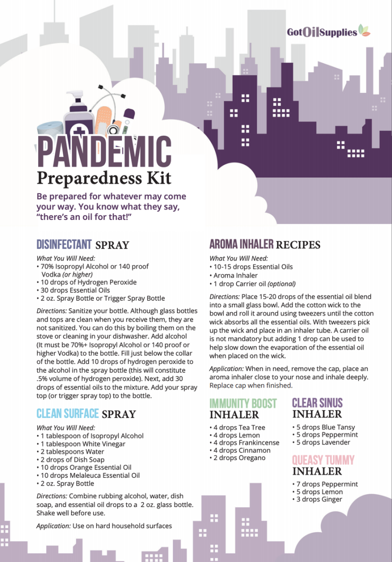 Pandemic Preparedness Kit Recipes (12 Sheets)