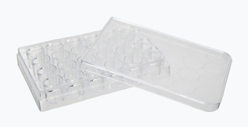 Gsc International Mp-24 Microplate With 24 Wells And Lid, Clear Polystyrene. Case Of 200