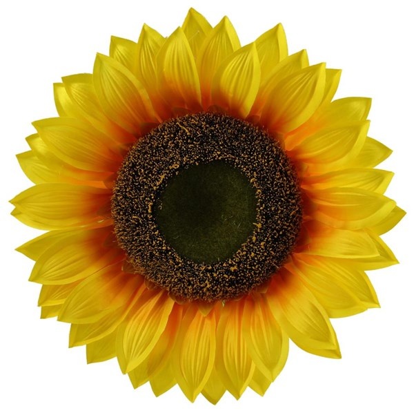 15"Dia Sunflower Head