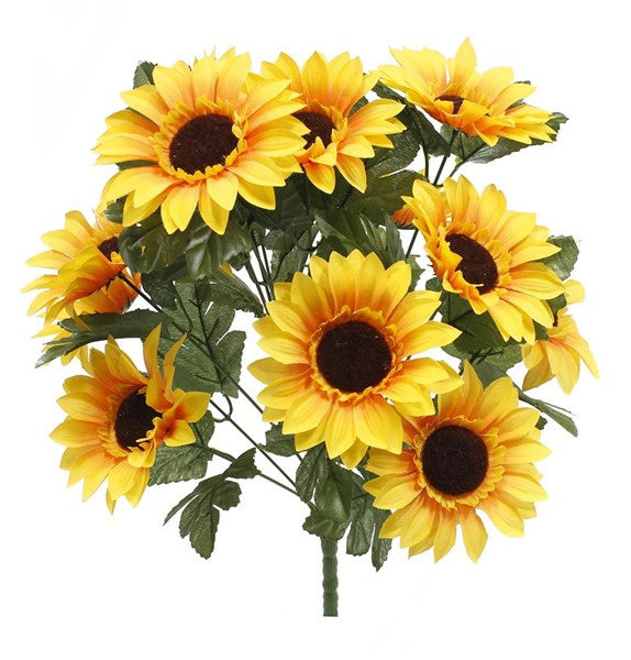 Sunflower Bush X14