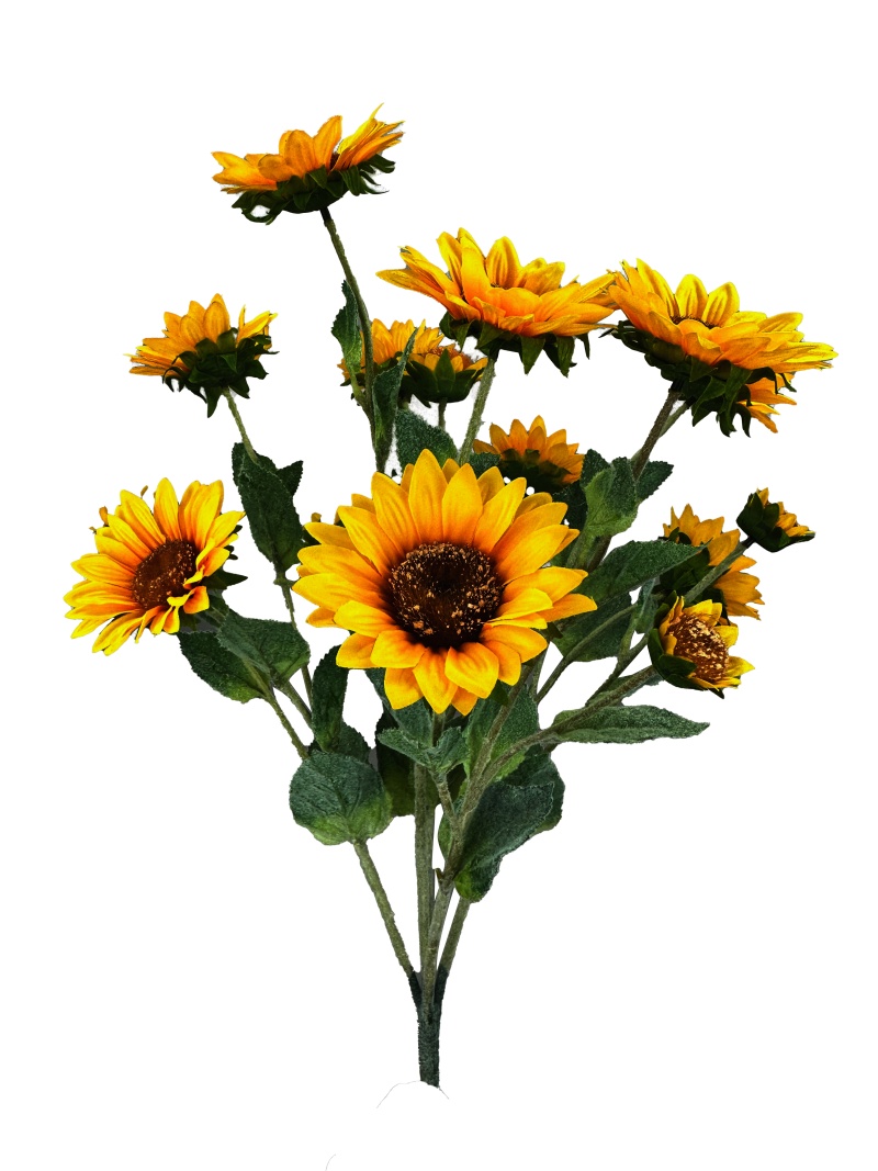 sunflower 2本 Wholesale Wholesale China Hybrid 601 Sunflower Seed Factory