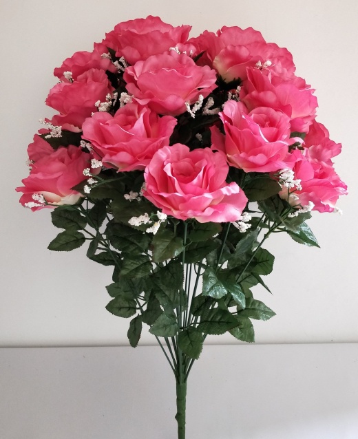Rose Bsh X24 (Satin) With Gypso Beauty