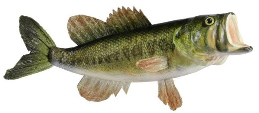 19"L Largemouth Bass Wreath Attachment