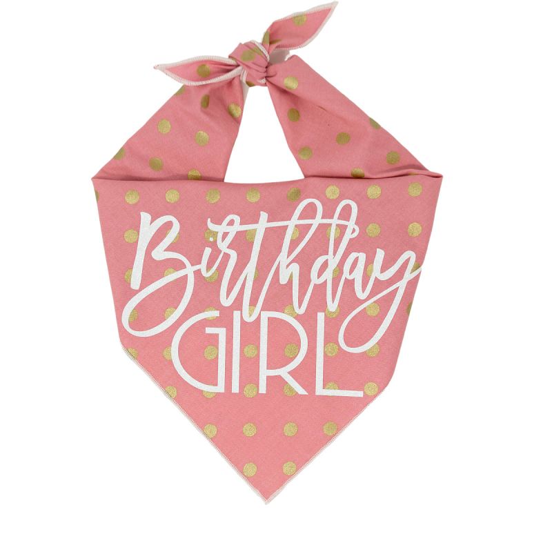Birthday Girl Dog Birthday Birthday Dog Bandana Happy Birthday Bandana Caps