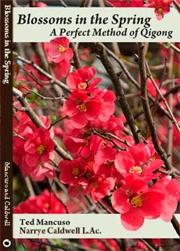 Blossoms In Spring: A Perfect Method Qigong Book