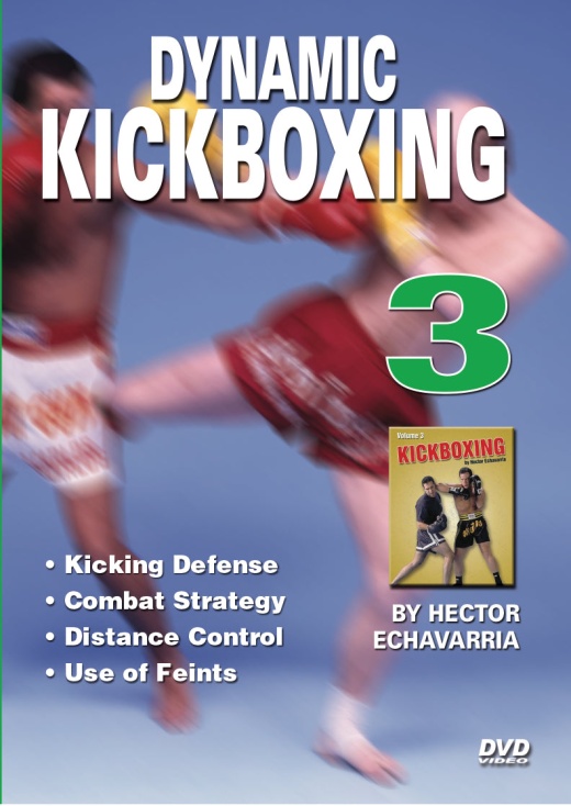 Dynamic Kickboxing - Hector Echavarria Champion Fight Techniques