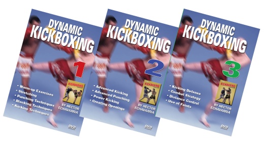 Dynamic Kickboxing - Hector Echavarria Champion Fight Techniques