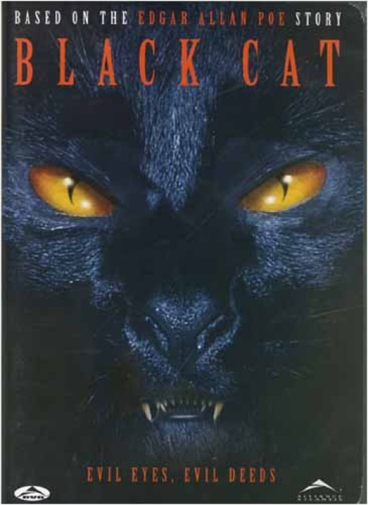 Black Cat