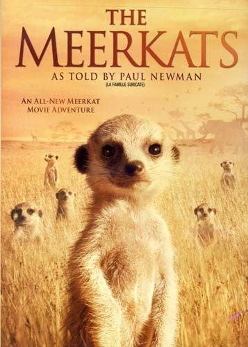 The Meerkats(Bilingual)
