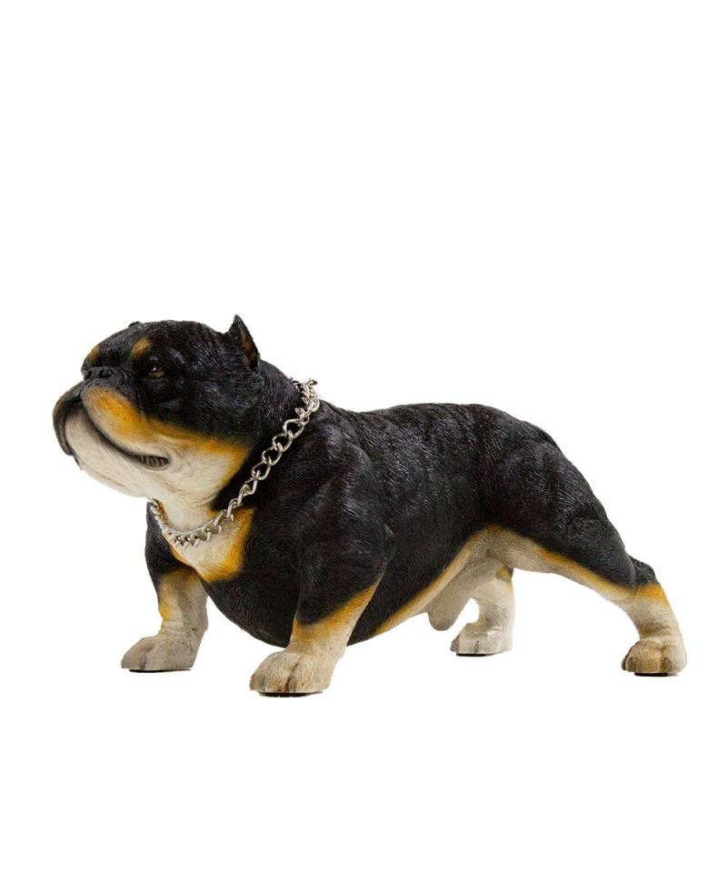 American Bully Exotic Statue 1:4