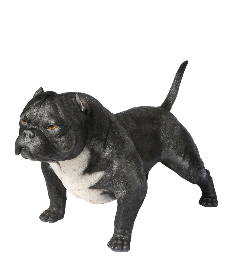 American Bully Exotic Statue 1:1 Real Size