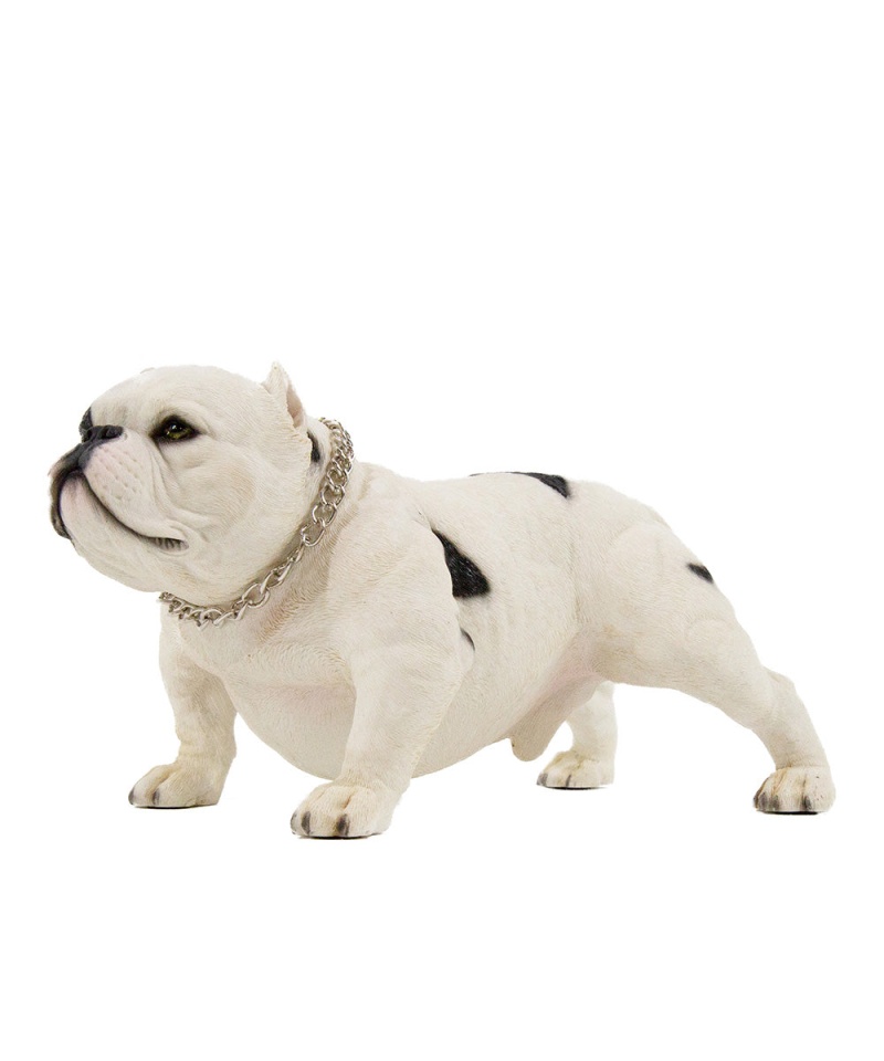 American Bully Exotic Statue 1:4