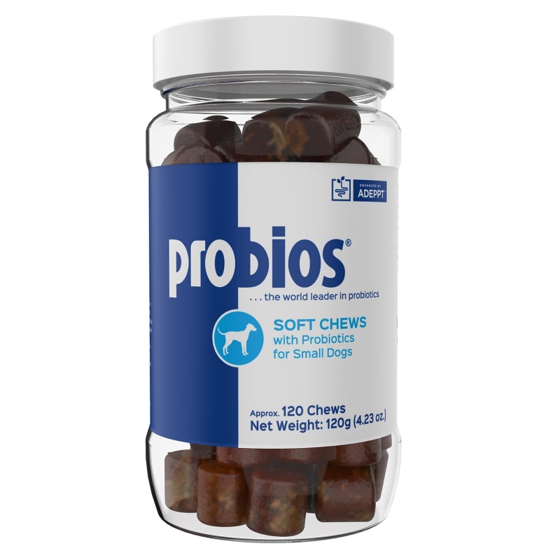 Probitso Buy Probios Canine Soft Chews Online for Healthy Digestive System in Dogs