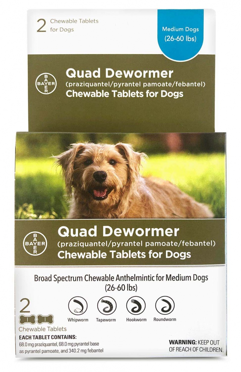 Quad Dewormer Chewable Tablets For Dogs