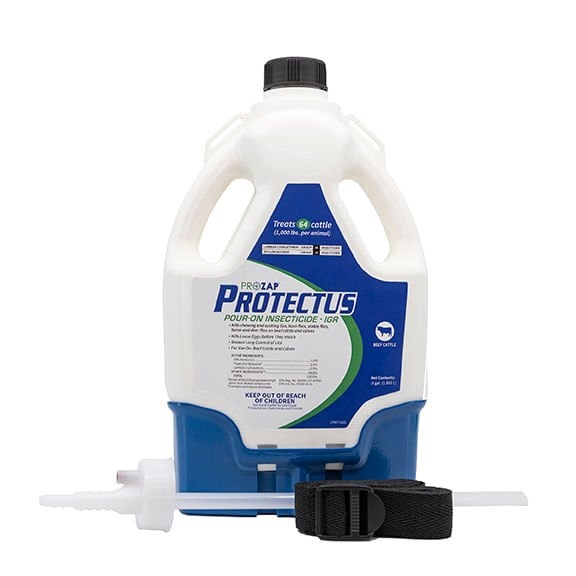 Prozap Protectus For Cattle Pour-On Fly Insecticide Prozap Protectus ...